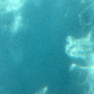 Meet your Posher, Esperonza